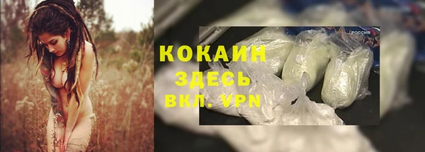 твердый Абинск