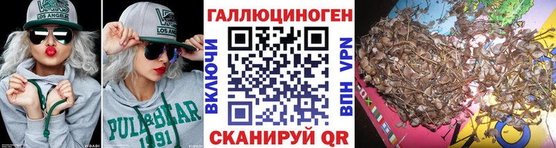 Галлюциногенные грибы MAGIC MUSHROOMS  Сысерть 